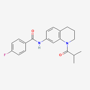 molecular formula C20H21FN2O2 B2659159 4-氟代-N-(1-异丁酰-1,2,3,4-四氢喹啉-7-基)苯甲酰胺 CAS No. 1005294-38-1