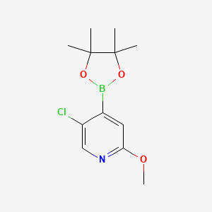 5-Chloro-2-methoxypyridine-4-boronic acid pinacol ester