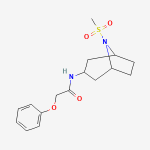 N-(8-(methylsulfonyl)-8-azabicyclo[3.2.1]octan-3-yl)-2-phenoxyacetamide