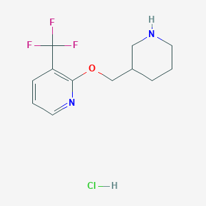 2-[(Piperidin-3-yl)methoxy]-3-(trifluoromethyl)pyridine hydrochloride