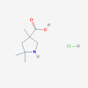 molecular formula C8H16ClNO2 B2661354 3,5,5-三甲基吡咯烷-3-羧酸；盐酸 CAS No. 2418720-43-9