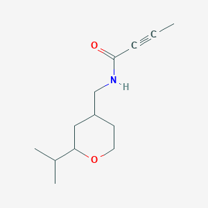 N-[(2-Propan-2-yloxan-4-yl)methyl]but-2-ynamide