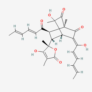 (1R,4S,7R,8S)-7-[(2E,4E)-hexa-2,4-dienoyl]-3-hydroxy-8-[(2S)-3-hydroxy-2,4-dimethyl-5-oxo-2,5-dihydrofuran-2-yl]-5-[(2E,4E)-1-hydroxyhexa-2,4-dien-1-ylidene]-1,3-dimethylbicyclo[2.2.2]octane-2,6-dione