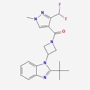 2-tert-butyl-1-{1-[3-(difluoromethyl)-1-methyl-1H-pyrazole-4-carbonyl]azetidin-3-yl}-1H-1,3-benzodiazole