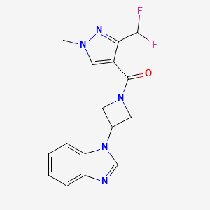 molecular formula C20H23F2N5O B2661996 2-tert-butyl-1-{1-[3-(difluoromethyl)-1-methyl-1H-pyrazole-4-carbonyl]azetidin-3-yl}-1H-1,3-benzodiazole CAS No. 2415631-09-1