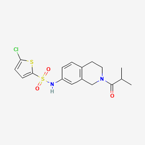 molecular formula C17H19ClN2O3S2 B2662010 5-chloro-N-(2-isobutyryl-1,2,3,4-tetrahydroisoquinolin-7-yl)thiophene-2-sulfonamide CAS No. 955648-83-6
