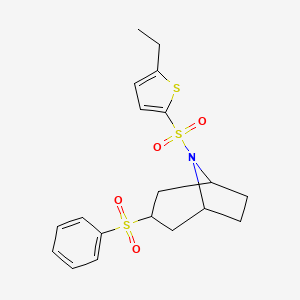 molecular formula C19H23NO4S3 B2662096 (1R,5S)-8-((5-ethylthiophen-2-yl)sulfonyl)-3-(phenylsulfonyl)-8-azabicyclo[3.2.1]octane CAS No. 1448045-54-2
