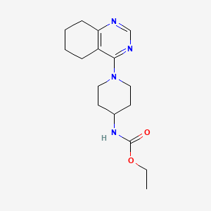 molecular formula C16H24N4O2 B2663821 Ethyl (1-(5,6,7,8-tetrahydroquinazolin-4-yl)piperidin-4-yl)carbamate CAS No. 1904015-48-0