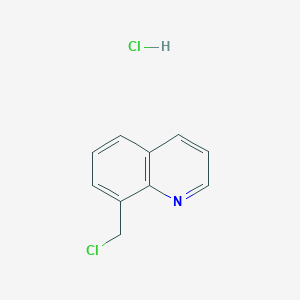 molecular formula C10H9Cl2N B2663906 8-(Chloromethyl)quinoline hydrochloride CAS No. 2055119-01-0