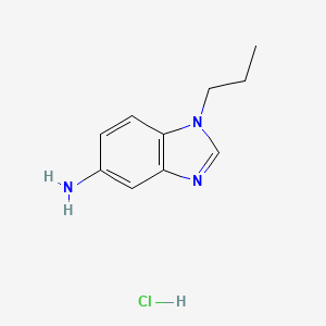 1-Propyl-1H-benzimidazol-5-amine hydrochloride