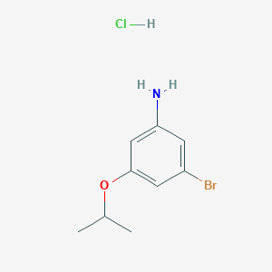 molecular formula C9H13BrClNO B2664692 3-Bromo-5-(propan-2-yloxy)aniline hydrochloride CAS No. 1376298-90-6