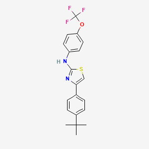 molecular formula C20H19F3N2OS B2664853 4-(4-叔丁基苯基)-N-[4-(三氟甲氧基)苯基]-1,3-噻唑-2-胺 CAS No. 1023480-28-5