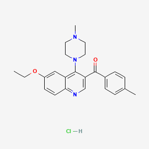 molecular formula C24H28ClN3O2 B2665051 6-Ethoxy-3-(4-methylbenzoyl)-4-(4-methylpiperazin-1-yl)quinoline hydrochloride CAS No. 2097928-46-4