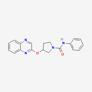 N-phenyl-3-(quinoxalin-2-yloxy)pyrrolidine-1-carboxamide