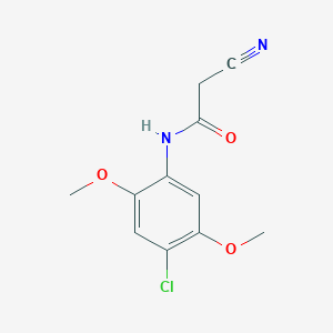 molecular formula C11H11ClN2O3 B2666086 N-(4-氯-2,5-二甲氧基苯基)-2-氰基乙酰胺 CAS No. 549484-19-7