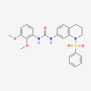 molecular formula C24H25N3O5S B2666323 1-(2,3-二甲氧基苯基)-3-(1-(苯基磺酰)-1,2,3,4-四氢喹啉-7-基)脲 CAS No. 1202992-30-0