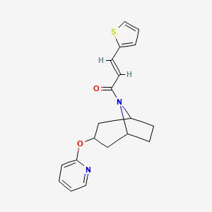 (2E)-1-[3-(pyridin-2-yloxy)-8-azabicyclo[3.2.1]octan-8-yl]-3-(thiophen-2-yl)prop-2-en-1-one
