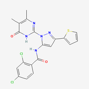 2,4-dichloro-N-(1-(4,5-dimethyl-6-oxo-1,6-dihydropyrimidin-2-yl)-3-(thiophen-2-yl)-1H-pyrazol-5-yl)benzamide