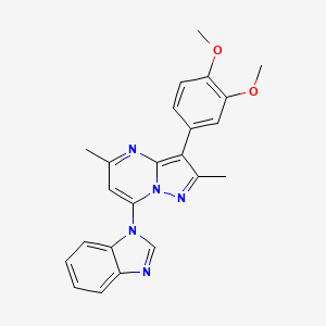 molecular formula C23H21N5O2 B2669331 7-(1H-benzo[d]imidazol-1-yl)-3-(3,4-dimethoxyphenyl)-2,5-dimethylpyrazolo[1,5-a]pyrimidine CAS No. 902028-05-1