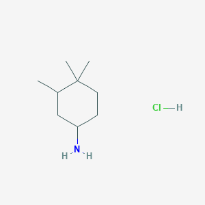 molecular formula C9H20ClN B2669467 3,4,4-三甲基环己烷-1-胺;盐酸盐 CAS No. 2309474-60-8