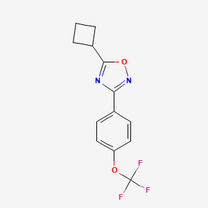 molecular formula C13H11F3N2O2 B2669662 5-Cyclobutyl-3-[4-(trifluoromethoxy)phenyl]-1,2,4-oxadiazole CAS No. 680216-02-8