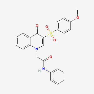 molecular formula C24H20N2O5S B2670070 2-[3-(4-methoxyphenyl)sulfonyl-4-oxoquinolin-1-yl]-N-phenylacetamide CAS No. 866813-40-3