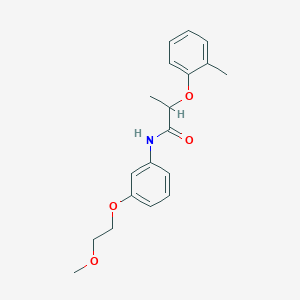 molecular formula C19H23NO4 B267026 N-[3-(2-methoxyethoxy)phenyl]-2-(2-methylphenoxy)propanamide 