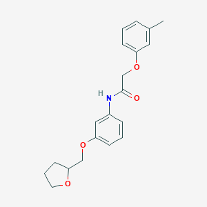 molecular formula C20H23NO4 B267042 2-(3-methylphenoxy)-N-[3-(tetrahydro-2-furanylmethoxy)phenyl]acetamide 