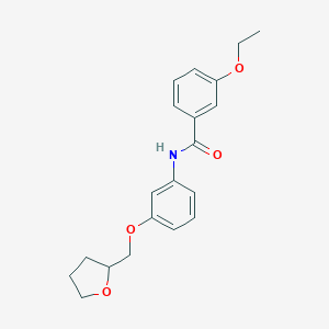 molecular formula C20H23NO4 B267046 3-ethoxy-N-[3-(tetrahydrofuran-2-ylmethoxy)phenyl]benzamide 