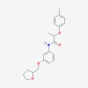 molecular formula C21H25NO4 B267050 2-(4-methylphenoxy)-N-[3-(tetrahydro-2-furanylmethoxy)phenyl]propanamide 