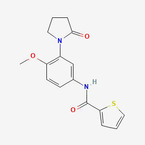 molecular formula C16H16N2O3S B2671618 N-(4-甲氧基-3-(2-氧代吡咯啉-1-基)苯基)噻吩-2-甲酰胺 CAS No. 941957-47-7