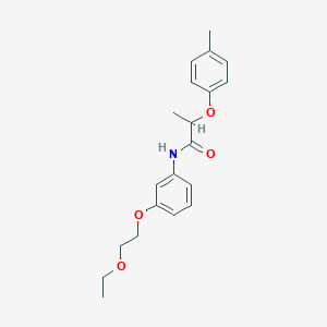 molecular formula C20H25NO4 B267195 N-[3-(2-ethoxyethoxy)phenyl]-2-(4-methylphenoxy)propanamide 