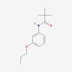 molecular formula C14H21NO2 B267201 2,2-dimethyl-N-(3-propoxyphenyl)propanamide 