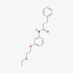 molecular formula C19H23NO3 B267205 N-[3-(2-ethoxyethoxy)phenyl]-3-phenylpropanamide 