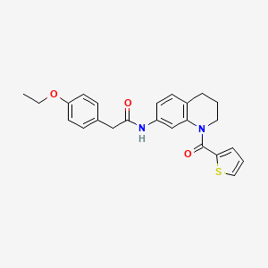 molecular formula C24H24N2O3S B2672391 2-(4-ethoxyphenyl)-N-[1-(2-thienylcarbonyl)-1,2,3,4-tetrahydroquinolin-7-yl]acetamide CAS No. 946320-28-1