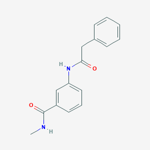 molecular formula C16H16N2O2 B267250 N-methyl-3-[(phenylacetyl)amino]benzamide 