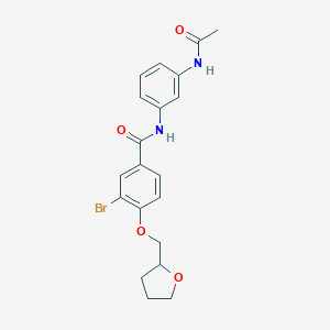 molecular formula C20H21BrN2O4 B267255 N-[3-(acetylamino)phenyl]-3-bromo-4-(tetrahydro-2-furanylmethoxy)benzamide 