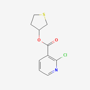 Thiolan-3-yl 2-chloropyridine-3-carboxylate