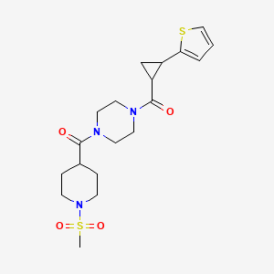 molecular formula C19H27N3O4S2 B2674386 (1-(Methylsulfonyl)piperidin-4-yl)(4-(2-(thiophen-2-yl)cyclopropanecarbonyl)piperazin-1-yl)methanone CAS No. 1208718-77-7