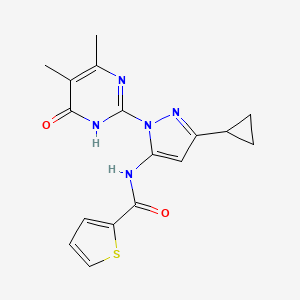 molecular formula C17H17N5O2S B2674591 N-(3-cyclopropyl-1-(4,5-dimethyl-6-oxo-1,6-dihydropyrimidin-2-yl)-1H-pyrazol-5-yl)thiophene-2-carboxamide CAS No. 1203020-78-3