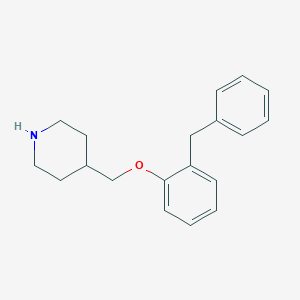 molecular formula C19H23NO B267546 4-[(2-Benzylphenoxy)methyl]piperidine 