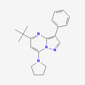 5-Tert-butyl-3-phenyl-7-pyrrolidin-1-ylpyrazolo[1,5-a]pyrimidine