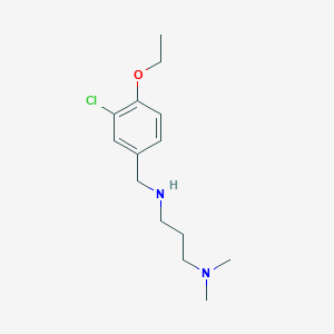molecular formula C14H23ClN2O B267799 N-(3-chloro-4-ethoxybenzyl)-N-[3-(dimethylamino)propyl]amine 