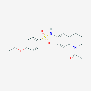 N-(1-acetyl-1,2,3,4-tetrahydroquinolin-6-yl)-4-ethoxybenzenesulfonamide