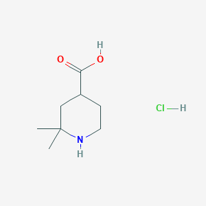 2,2-Dimethylpiperidine-4-carboxylic acid;hydrochloride