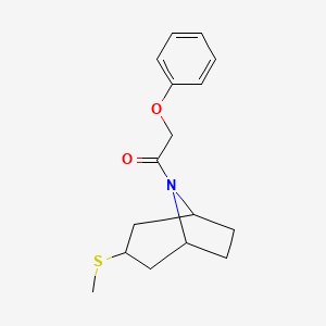 1-[3-(methylsulfanyl)-8-azabicyclo[3.2.1]octan-8-yl]-2-phenoxyethan-1-one