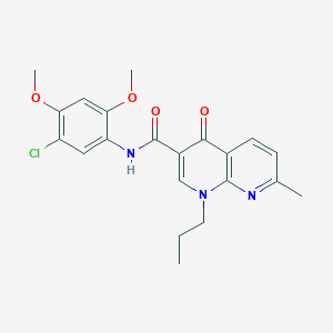 N-(5-chloro-2,4-dimethoxyphenyl)-7-methyl-4-oxo-1-propyl-1,4-dihydro-1,8-naphthyridine-3-carboxamide