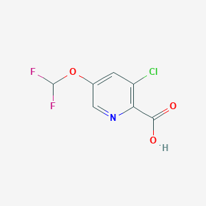 molecular formula C7H4ClF2NO3 B2680443 3-氯-5-(二氟甲氧基)吡啶-2-甲酸 CAS No. 1262860-72-9