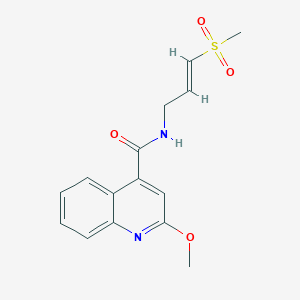 2-Methoxy-N-[(E)-3-methylsulfonylprop-2-enyl]quinoline-4-carboxamide