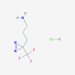 molecular formula C5H9ClF3N3 B2680750 3-[3-(Trifluoromethyl)diazirin-3-yl]propan-1-amine;hydrochloride CAS No. 2248366-98-3